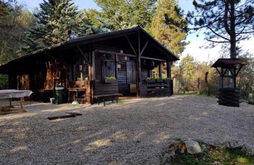 L'Aquila Ski Chalet | Discover Baita Nel Bosco: Pet-Friendly Retreat with High Ratings