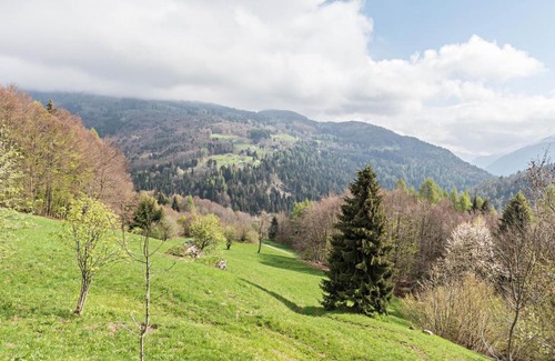 Roncone Ski Chalet | Serene Baita Rustica Surrounded by Nature - 9/10 Rated
