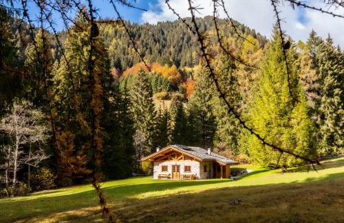 Ragoli Ski Chalet | Pristine Baita Valon - Alpine Hideaway with Family Perks