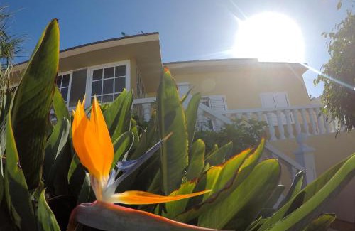 Bajamar House | Pet-Friendly Bajamar 152 with Ocean View and Child Amenities