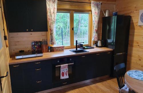 Adamow Ski Chalet | Family-Friendly Bajka Domek na Roztoczu - 9.9/10 Rated