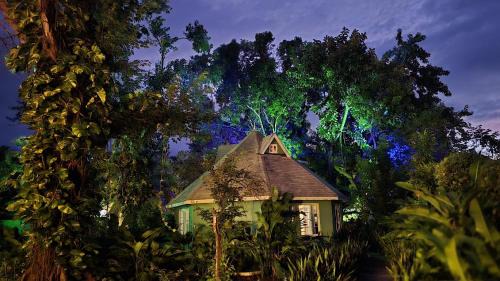 West End Cabin | Experience Bak A Yaad: Family-Friendly with Pool & Breakfast