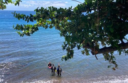 Dauin Bed & Breakfast | Beachfront Baki Divers Resort: Family-Friendly Getaway