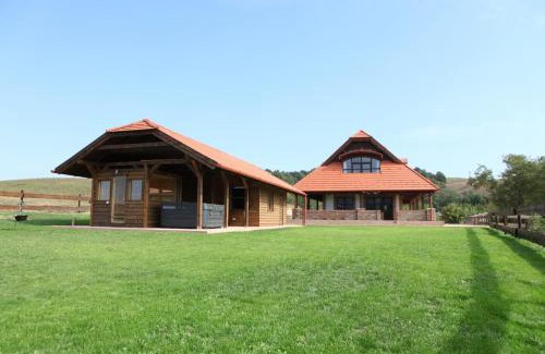 Bakonyszentkiraly Apartment | Discover Bakonyszentkirályi Menedék: Family & Pet Friendly Retreat