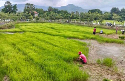 Kampot House | Top-Rated Baksaei Bed & Breakfast with Kitchen and Breakfast