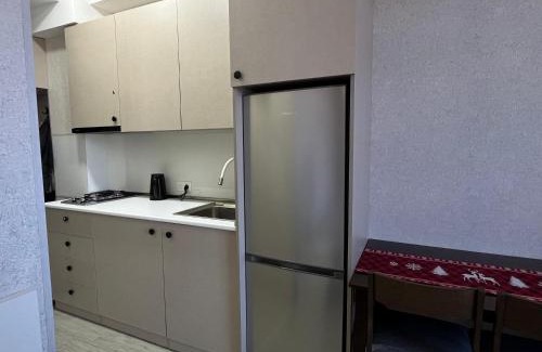 Bakuriani Apartment | Family-Friendly Bakuriani Didveli Residence Retreat
