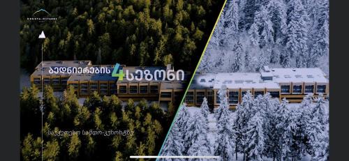 Bakuriani Apartment | Exceptional Bakuriani Kokhta-Mitarbi Resort for Families