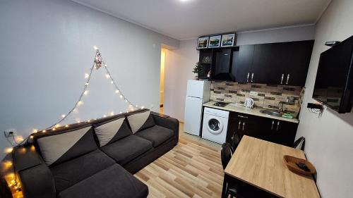 Bakuriani Apartment | Bakuriani Villa Monte