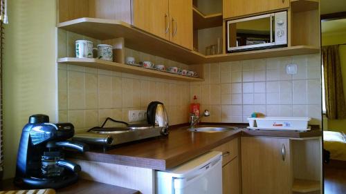 Gyula Apartment | Unforgettable Stay at Balázs Szálló: Pool & Eco-Friendly Amenities
