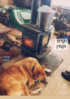Majdal al-Shams Apartment | Unforgettable Stay at צמיר במתעים רמת הגולן - 10/10 Rated