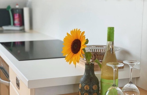 Neustadt-Haardt Apartment | Guest Rated: 9.8 - Balcony of the Palatinate Apartment