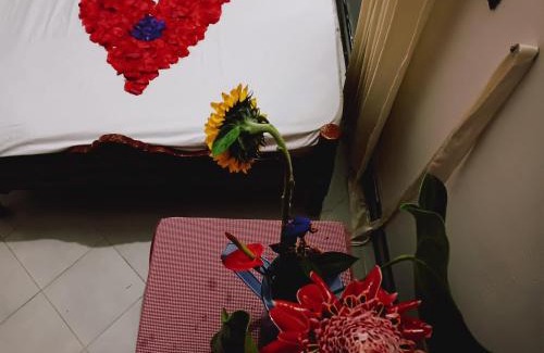 Dagua Apartment | Experience Ecopolis: Pet-Friendly Getaway Awaits You