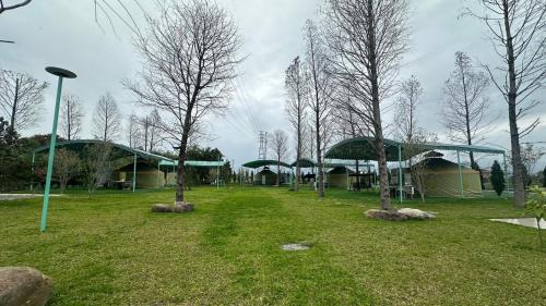 Sanxing House | Inviting Bald Cypress B&B: Pet-Friendly & Family Amenities