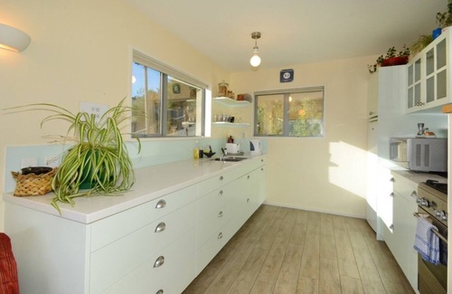 Dunedin House | Oceanfront Comfort at Baldwin Street BNB with Breakfast