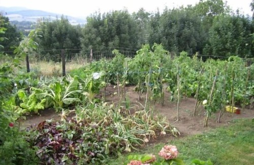 Basaburua Cottage | Family-Friendly Balkonpe Cottage with Spa & Kitchen Amenities