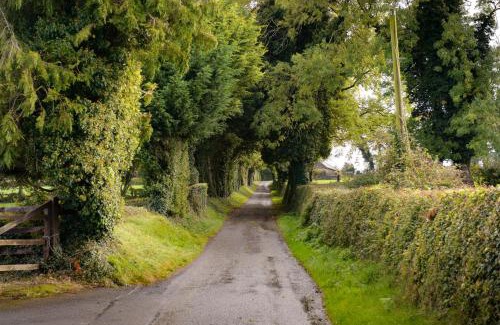 Athy Bed & Breakfast | Discover Ballindrum Farm B&B: 4-Star Family-Friendly Retreat