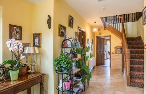 Athy Bed & Breakfast | Discover Ballindrum Farm B&B: 4-Star Family-Friendly Retreat