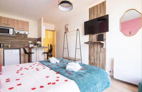 Illkirch-Graffenstaden Apartment | Relaxing Retreat: Balnéo & Confort with Hot Tub Access