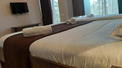 Kobuleti House | Relax at Balu: Oceanfront Retreat with Pet-Friendly Perks