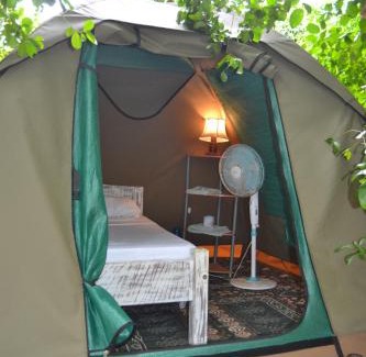 Watamu Other | Explore Bamba Kofi Tented Camp: Oceanfront Escape Awaits