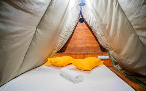 Hildummulla Bed & Breakfast | Discover Bambara Ella Agro Resort & Camping - Pet Friendly Stay