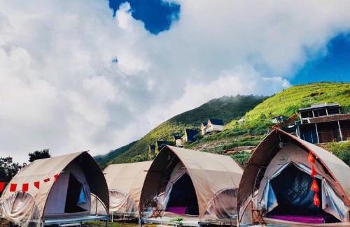 Bac Yen Cabin | Explore Bamboo Homestay Suối Trắm: Pet-Friendly Retreat