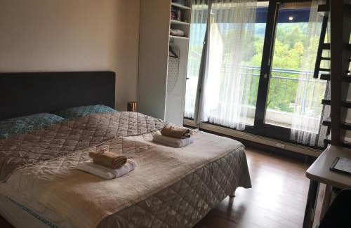 Bad Urach Apartment | Discover BaMeS BadUrach: Family-Friendly & Highly Rated