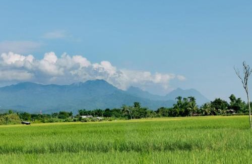 Si Kham Resort | Pet-Friendly Stay at Ban Din Resort Chiang Rai - 10/10 Rated