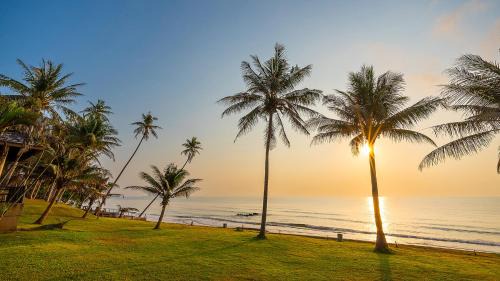 Sai Thong Resort | Experience Tranquility at Ban Saithong Beach Resort