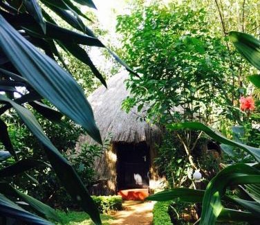 Marangu Hotel | Banana Jungle Lodge