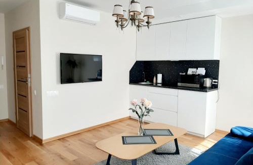 Old Town Apartment | Bangų gatvė 7: Guest Rated 10/10 & Pet Friendly Retreat