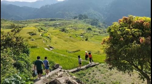Sagada Hotel | Discover Banga-an BnB and Coffee House: Rated 9/10