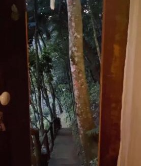Sao Pedro da Serra House | Relaxing Bangalô na Natureza: Pet-Friendly Retreat Awaits