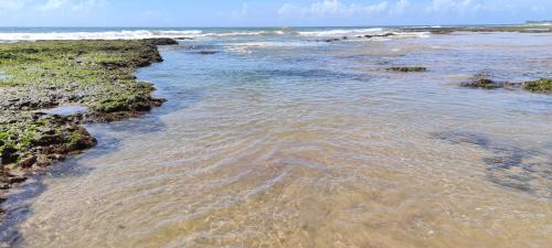 Itacimirim House | Oceanfront Bangalô Tavarua Itacimirim with Pool & Breakfast