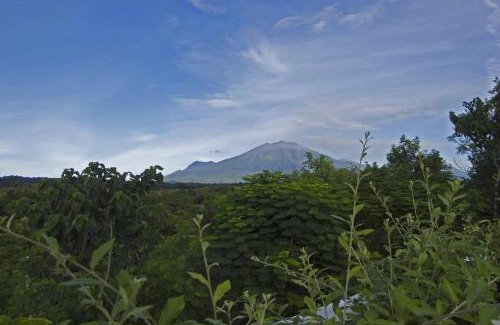 Kalipuro Hotel | Pet-Friendly Getaway at Bangsring Breeze with Pool Access