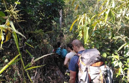 Ban Lung House | Discover Banlung Reggae Homestay – Pet-Friendly Getaway