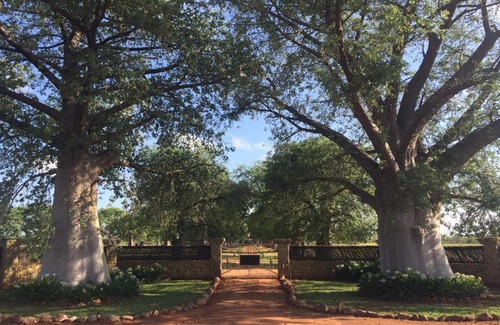 Lephalale Bed & Breakfast | Family-Friendly Retreat at Baobab Lane Lodge