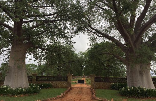 Lephalale Bed & Breakfast | Family-Friendly Retreat at Baobab Lane Lodge