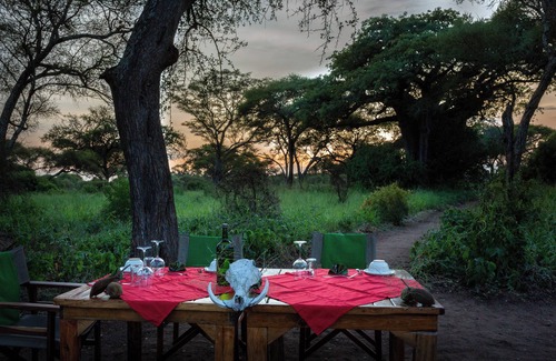 Tarangire National Park RV Rental | Explore Baobab Tented Camp: Spa, Dining & Family Friendly