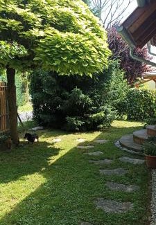 Vonyarcvashegy Apartment | Barackvirág Apartmanház: Pet-Friendly Oceanfront Retreat