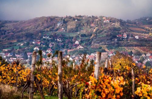 Szekszard Apartment | Barbár Borbár: Guest Rated 9.8 with Breakfast Included