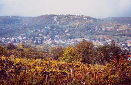 Szekszard Apartment | Barbár Borbár: Guest Rated 9.8 with Breakfast Included
