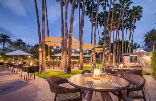 Playa del Ingles Hotel | Relaxing Barceló Margaritas Royal Level for Adults Only
