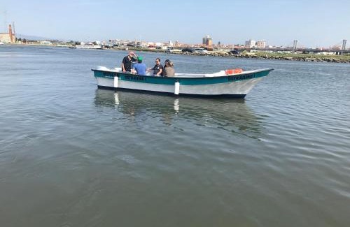 Aveiro Boat Rental | Discover Barcos Casa OstrAveiro: Pet-Friendly Oceanfront Escape
