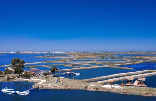 Aveiro Boat Rental | Discover Barcos Casa OstrAveiro: Pet-Friendly Oceanfront Escape