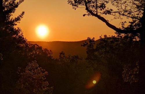 Dahlonega Hotel | Discover Barefoot Hills: Pet-Friendly Bliss Awaits You