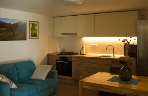 Baric Draga Apartment | Oceanfront Barić Draga: Guest Rated 9.7/10 for Families