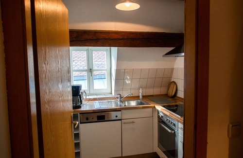City Centre Regensburg Apartment | Goliath Baroque Gallery Apartment in the Heart of the City