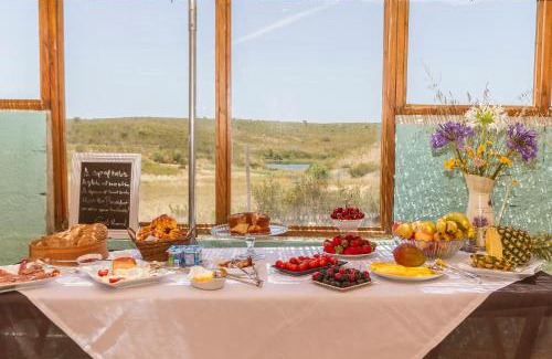 Monte Novo House | Experience Barranco da Fonte: Pet-Friendly Oceanfront Retreat