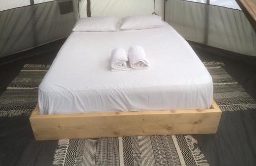 Diasella Other | Barreira Beachfront Tents 8